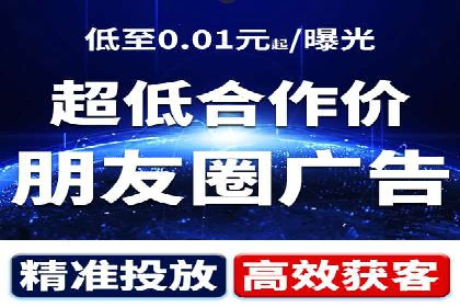 网络推广与竞价广告：双管齐下的策略案例